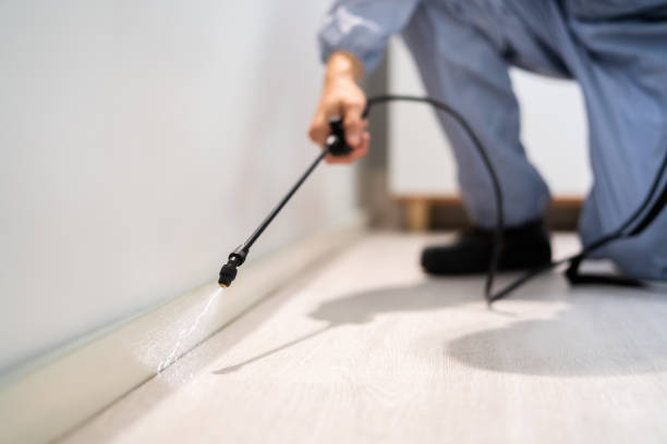 Licensed Termite Control service in Long Lake, IL - Nex Pest Control