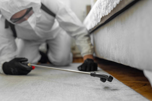 Professional Termite Control technician working in Long Lake, IL