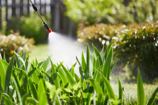 24/7 Emergency Termite Control experts in Long Lake, IL