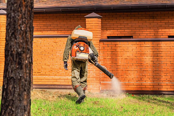 Top rated local Termite Control specialists in Long Lake, IL